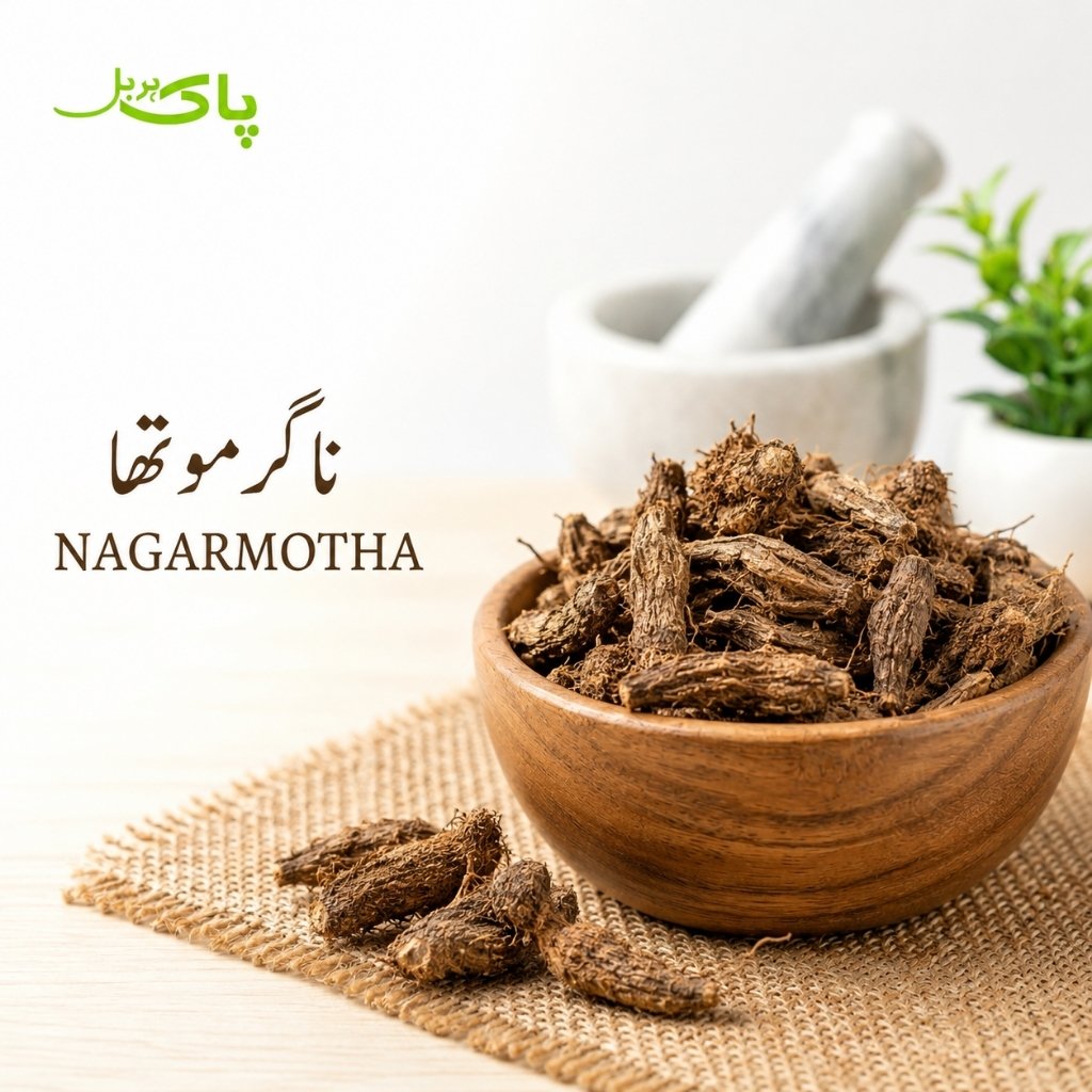 Nagarmotha – 100% Pure Premium Nutgrass Root in Pakistan